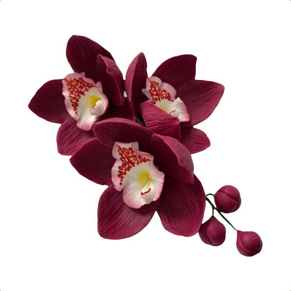 Decorațiuni din zahăr - Crenguță de orhidee burgundy
