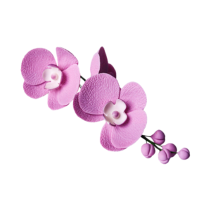 Decorațiune din zahăr - Crenguță de orhidee liliac