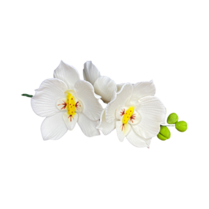 Decorațiune din zahăr - Crenguță de orhidee albă premium