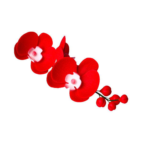 Decorațiune din zahăr - Crenguță de orhidee roșie