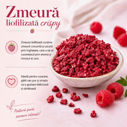 Zmeura liofilizata 1-3mm - 1kg