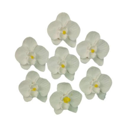 Decor tort - Set Orhidee #1192 - buc.